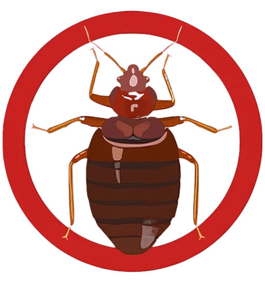 Bed Bug Pest Control Services at Best Price