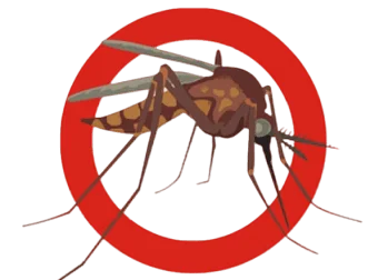 Top Pest Control Services For Mosquito in Mumbai